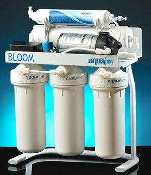 aquajoyBLOOM11111