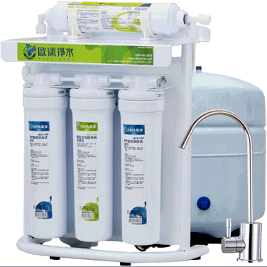 easywellrosystem